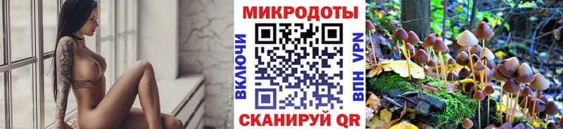 Галлюциногенные грибы мухоморы  цены наркотик  Починок 